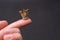 Macro closeup shot of a miniature crown on a person`s finger