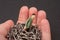 Macro closeup shot of a person`s palm holding a miniature male figurine wrapped in silver chains