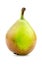 Macro closeup of single paradise mini pear