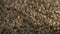 Macro closeup soft beige carpet rug texture