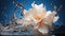 Macro closeup of white petal silver flower with water splash on futuristic minimalist background