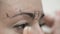 Macro Cosmetologist Draws Threads Around Client Eyebrows