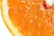Macro detailed view of sliced orange fruit