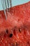 Macro details of watermelon fruit slice with fork