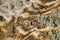 Macro of dried mud in the landscapes in Alberta`s Dinosaur Provincial Park