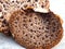 Macro of a Dryads saddle Polyporus squamosus or pheasants back mushroom