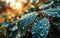 Macro Elegance: Transparent Raindrops on Green Leaf Glistening in Morning Sun, Beautiful Natural Texture and Background