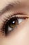 Macro eye with fashion light make-up, long eyelashes