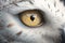 Macro eyes snowy owl, ai generative