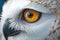 Macro eyes snowy owl. Photorealistic image created by artificial intelligence
