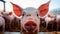 Macro farm dedicated to pig farming, small. Bustling pig industry. Generative AI