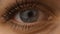 Macro female caucasian blue one eye, eyelids and eyelashes with mascara. Closeup body parts of white european russian