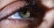 Macro female eye with mascara, closeup