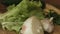 Macro footage of vegetables spinning around on a wooden plate in the kitchen including onion, garlic, lettuce, arucula