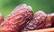 Macro of Fresh Arabian Dates