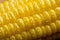Macro of fresh maize corns