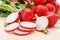 Macro of fresh sliced radish in crate