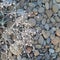 Macro Grey pebbles on the beach with dry plants