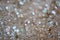 macro ground level closeup view of rock salt ice-melt on concrete with a frozen layer.