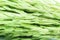 Macro group light green Ears of wheat background