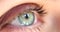 Macro human eye opening iris eyes beautiful gray green eyes healthy vision