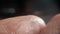 Macro human fingerprint, Closeup caucasian