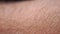 Macro human shin with hair. Macro closeup arm background
