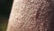 Macro Human Skin outdoor.4K close up detail