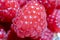 Macro image of fresh raspberries