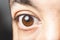 Macro image of human brown eye - close up view of man brown eye