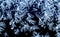 Macro image of ice crystals, winter background