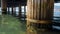 Macro image of old wooden column overgrown with sea weeds under old wooden pier at shore