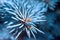 Macro Image of Sharp Needle Tips of Blue Spruce Tree and Spider Web. New Year, Christmas Tree Concept