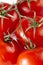 Macro image of tomatoes