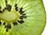 Macro kiwi slice. Transparent closeup texture of kiwi