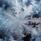 Macro Lens Captures Intricate Patterns of Frost Crystals in a Frosty Wonderland