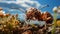 Macro Lens Captures Stunning Image Of Ant Grazing In Desert Field