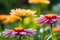 Macro Lens Photo of Dew-Kissed Flowers - Vibrant Petals Occupying Central Third of the Frame, Juxtaposed Elegance