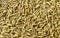 Macro of long paddy rice grains. Close up of yellow gold rice can use for background and texture. Pile of natural rice realistic