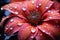 Macro marvel a flower portrait adorned with glistening water droplets