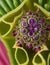 Macro Marvels - Intricate Details Up Close - Generated using AI Technology