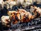 Macro of meat on metal skewers - juicy chicken grilling on fire, coals and smoke in grill. Macro of herbed and seasoned cubes of