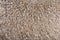Macro of Medium silver grey alpaca wool or fiber