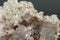 Macro mineral stone Apophyllite stilbite on a gray background