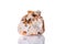 Macro mineral stone Cerussite on a white background