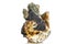 Macro mineral stone Quartz Hedenbergite Prase on ilvite on a white background