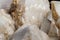 Macro mineral stone Snow quartz with calcite on a black background