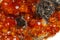 Macro mineral stone Spessartine, orange, red garnet with quartz