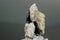 Macro mineral stone Vivianite on a black background