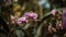 Macro moth orchid blossom displays organic elegance generated by AI